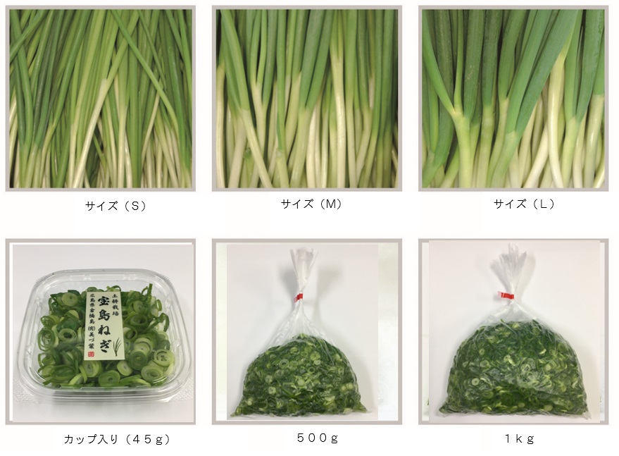 カットねぎ | 業務用の新鮮なカットネギ販売の美づ葉です。