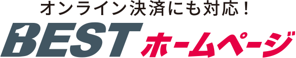 BEST-HP Logo